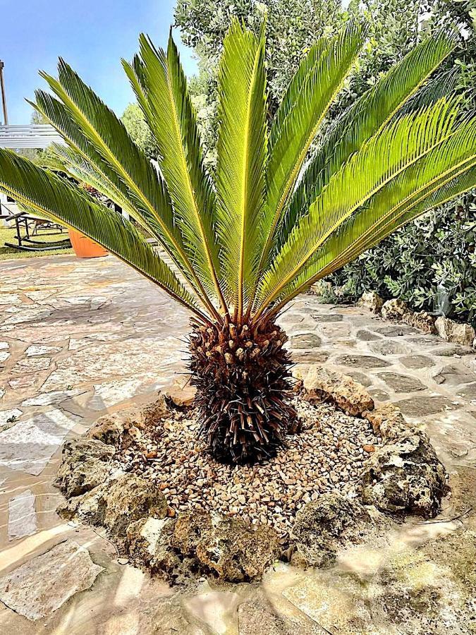 Lorelai Beach Marsala Luaran gambar